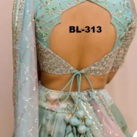 Back Neck Designer Blouse - BL-313