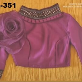 Back Neck Designer Blouse - BL-351