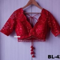 Back Neck Designer Blouse - BL-420